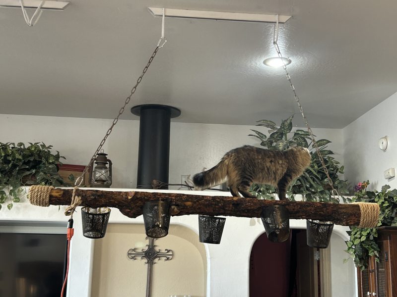 Handcrafted Rustic 5-Light Log Chandelier - Image 5