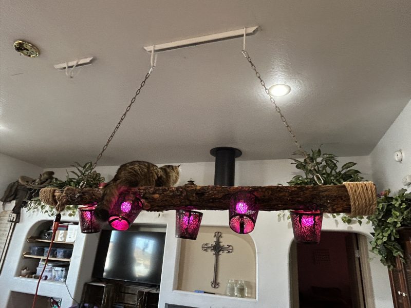 Handcrafted Rustic 5-Light Log Chandelier - Image 4
